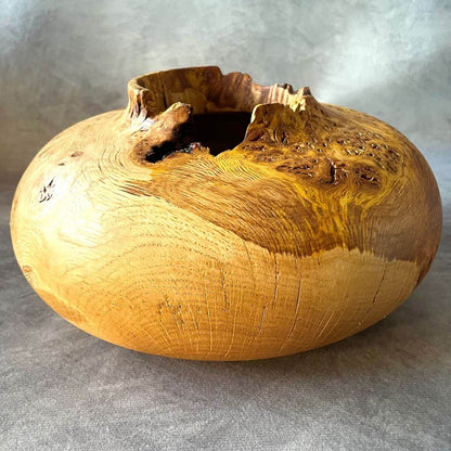 Hand turned wood art english burr oak vessel