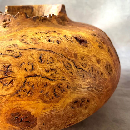 Close up detail of natural pip grain and textured opening on an English oak burr hollow form.