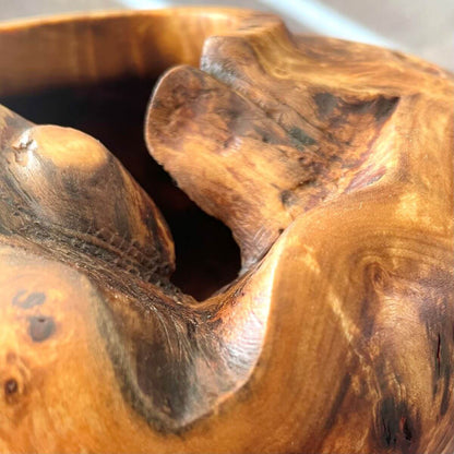 Close up macro shot showing the incredible clustered grain and natural voids of this Mappa burr luxury wood sculpture.
