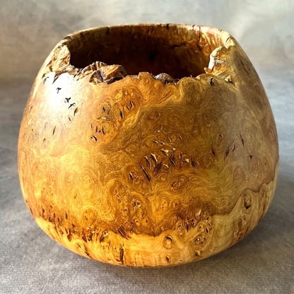 Handmade mappa burr enclosed vessel 140mm x 110mm front view made in Yorkshire.